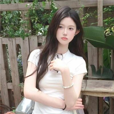 保卫延安