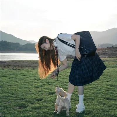 八公犬物语