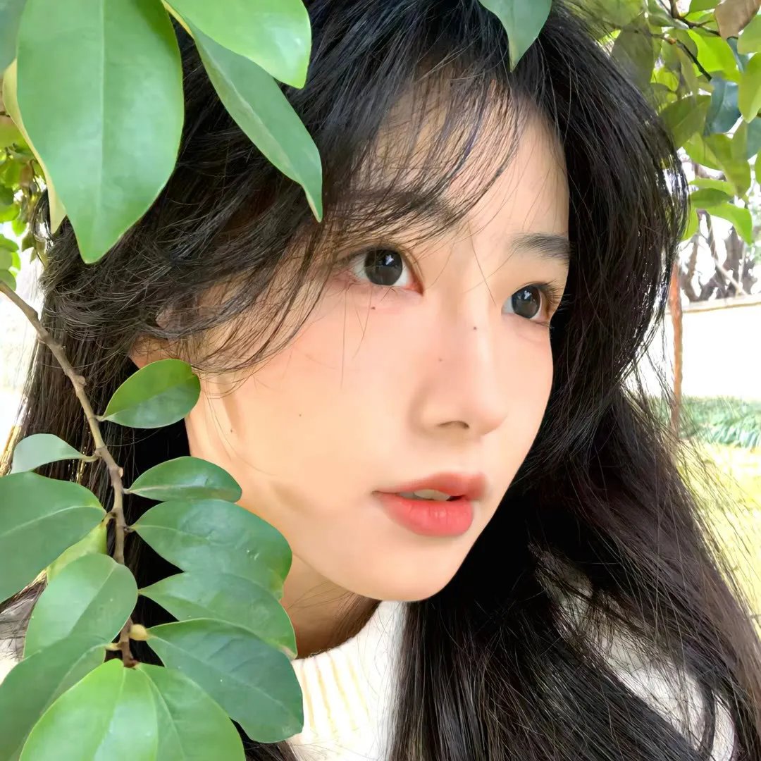 绮梦痕